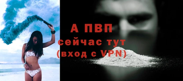 мяу мяу мука Абаза
