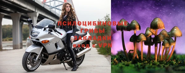 прущая мука Иннополис