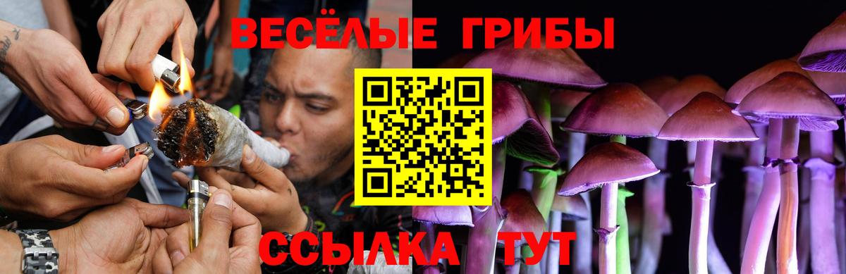 Конаково  Галлюциногенные грибы мицелий  Псилоцибиновые грибы Psilocybine cubensis  Вход с VPN 